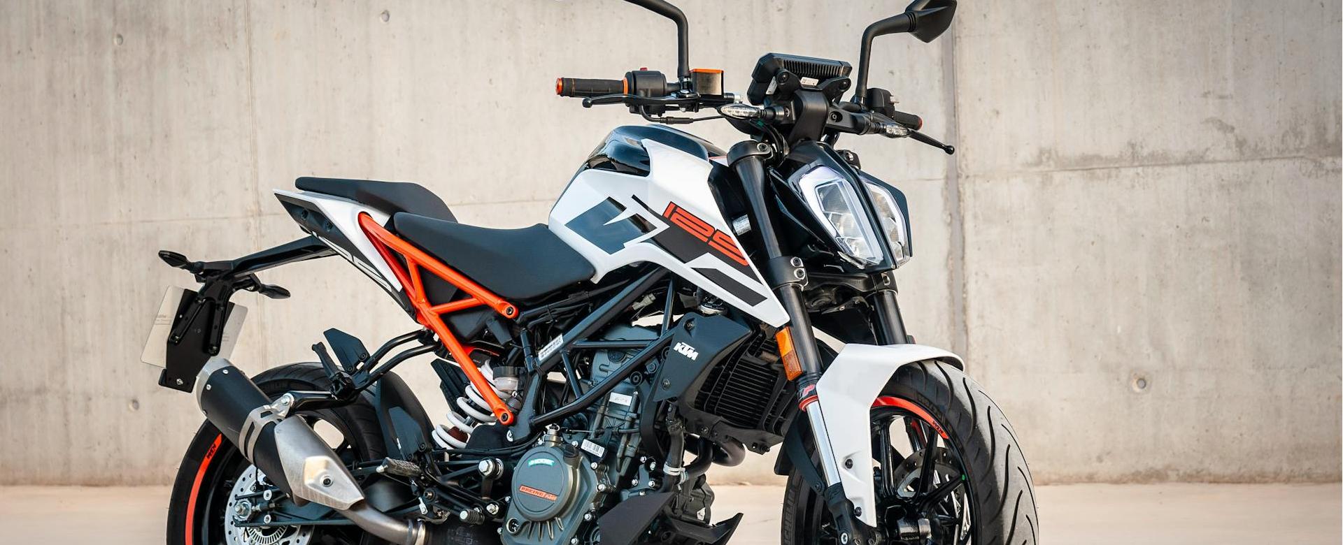 Shark Verkoopwinkel -Shark Verkoopwinkel pexels jamphotography 2626665